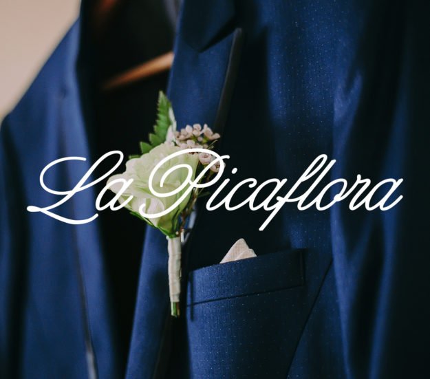 La Picaflora | Branding